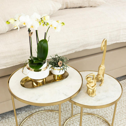 Kolibri Orchids | Weiße Phalaenopsis Orchidee - Mineral Amabilis im Le Chic Übertopf Gold - Ø9 cm