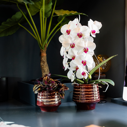 Kolibri Home | Moonstone Burgundy Übertopf - Ø9cm