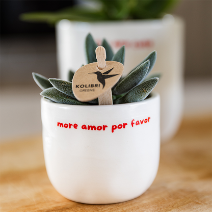 Kolibri Home | Ziertopf „To the Moon and Back“ - Ø9cm