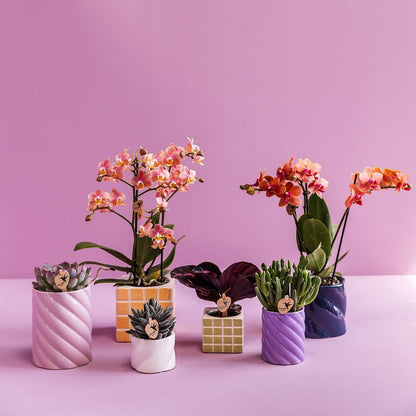 Kolibri Home | Candy Dekotopf | Hoch - Lilac - Ø6cm