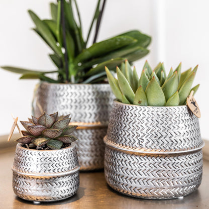 Kolibri Home | Groove Blumentopf - Goldener Keramik-Topf - Ø6cm