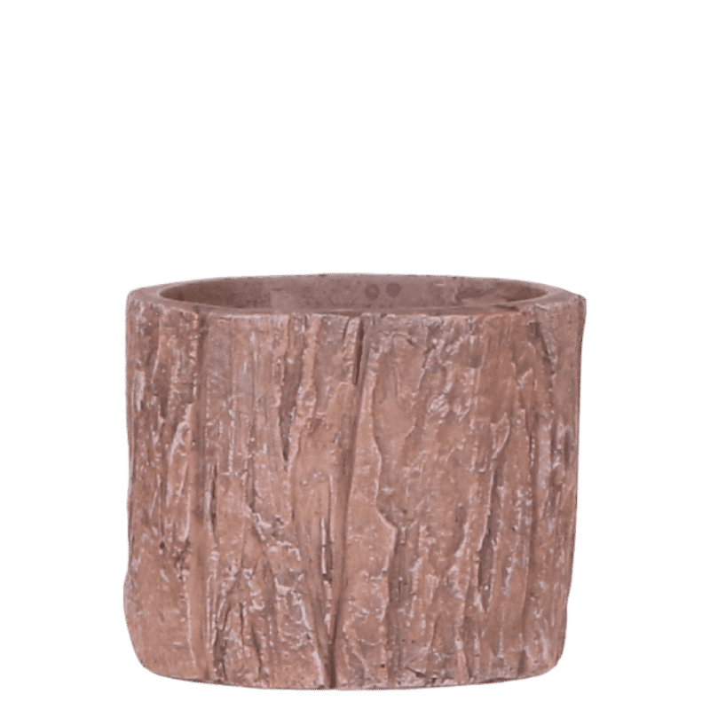 Kolibri Home | Tree Übertopf - Ø6 cm