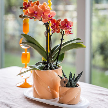 Kolibri Home | Candy Dekotopf - Peach - Ø9cm