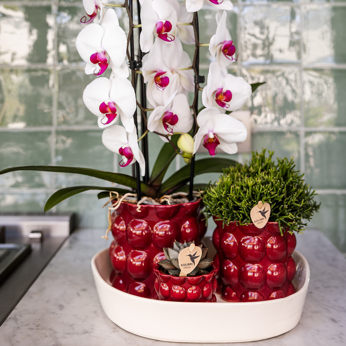 Kolibri Home | Cotton Shine Übertopf - Red - Ø12cm