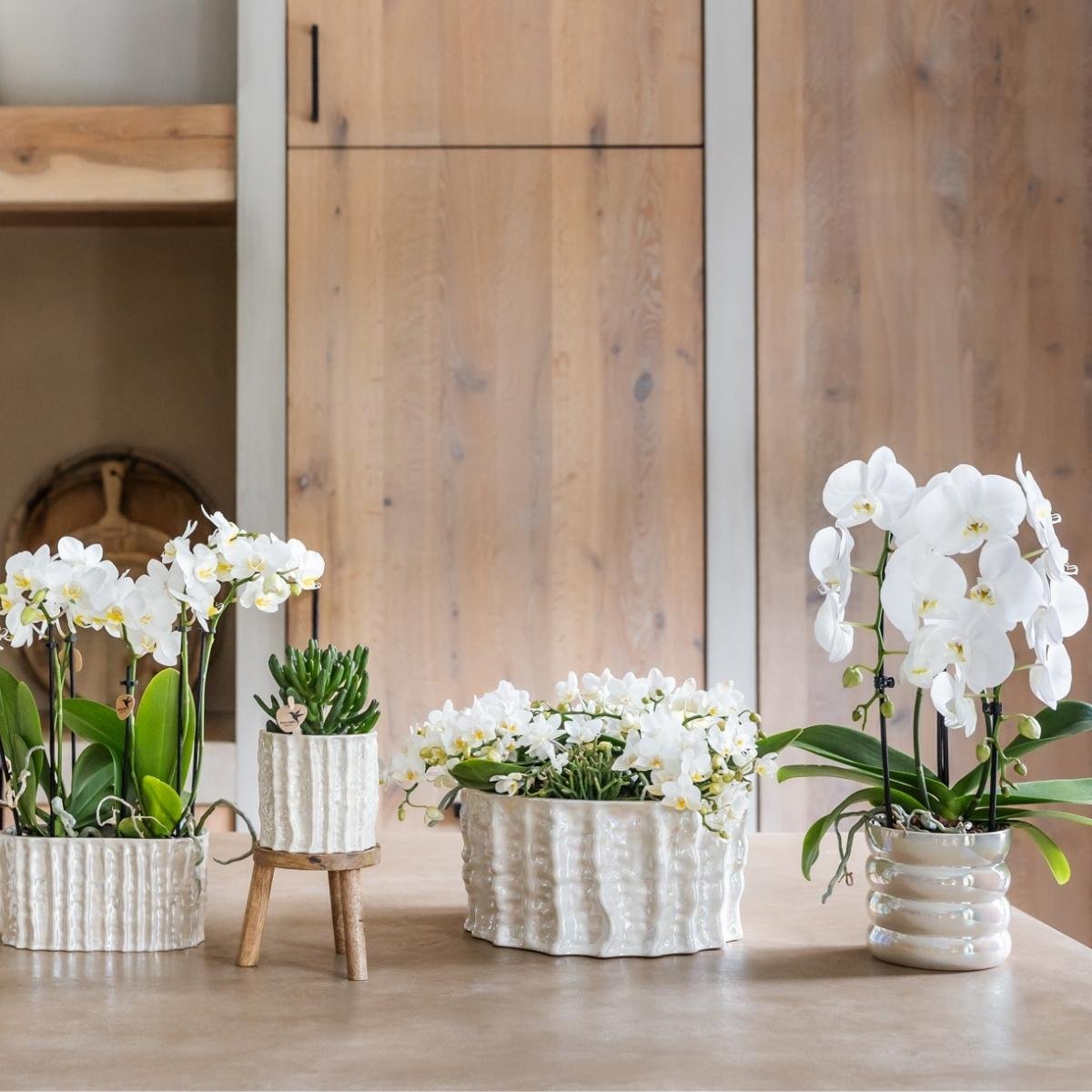 Kolibri Home | Oyster Schale - Ø30 cm