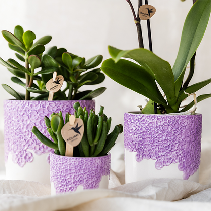 Set Bloom Purple