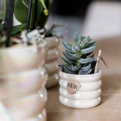 Kolibri Home | Glow Übertopf - Travertin - Ø6cm