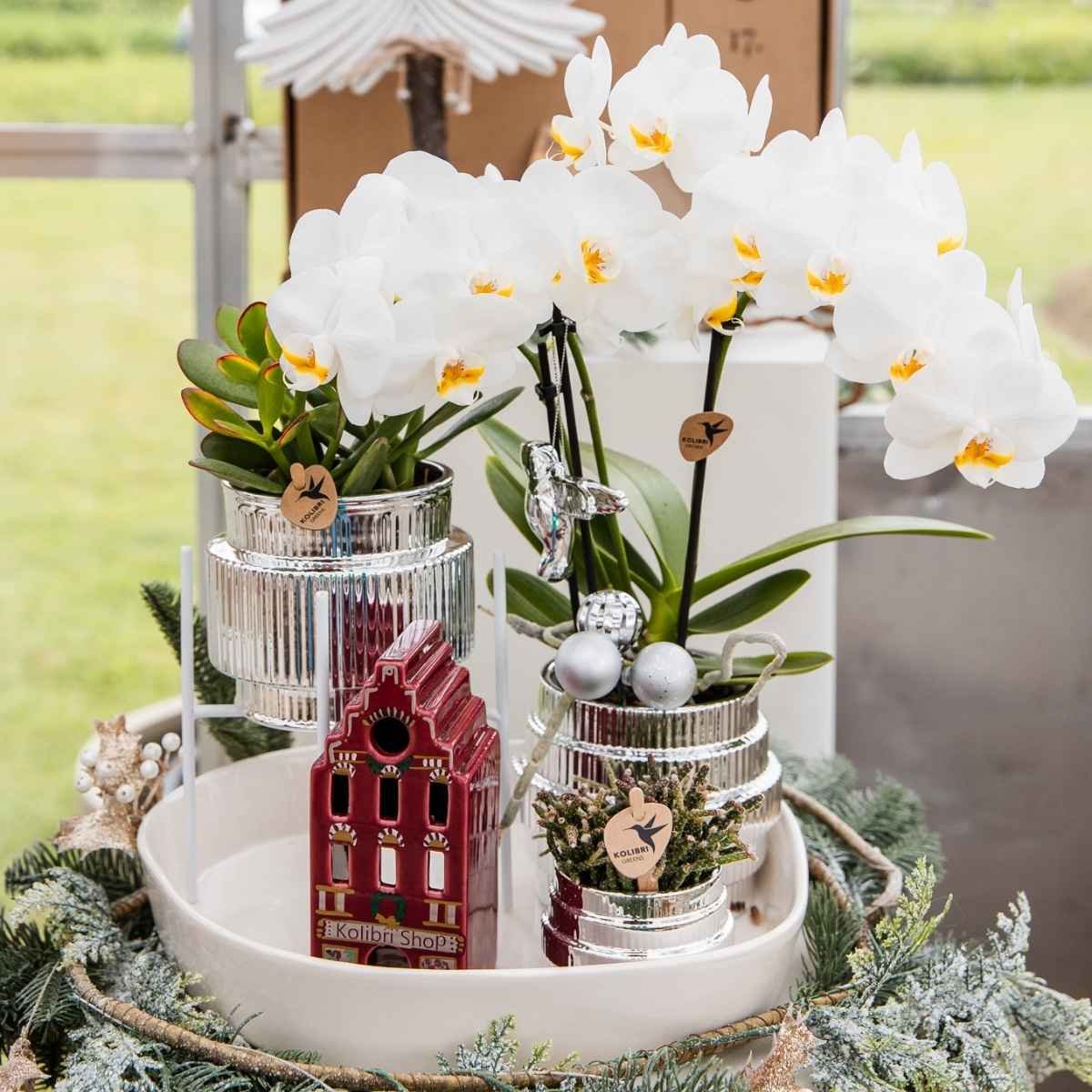 Kolibri Home | Allure Empire Shiny Übertopf - Silber - Ø6cm
