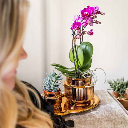 Kolibri Home | Allure Shiny Übertopf - Bronze - Ø6cm