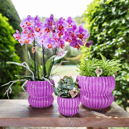 Kolibri Home | Horizon Übertopf - Violett - ∅6cm