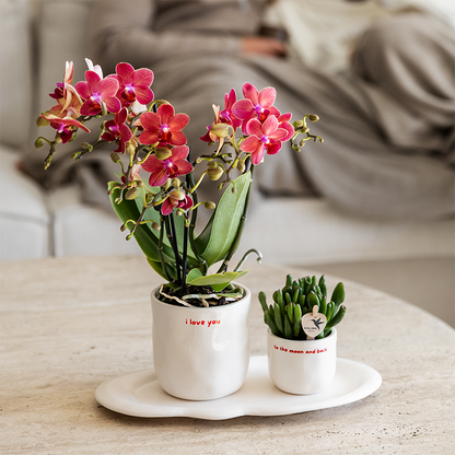 Kolibri Home | I Love You Ziertopf - Ø9cm