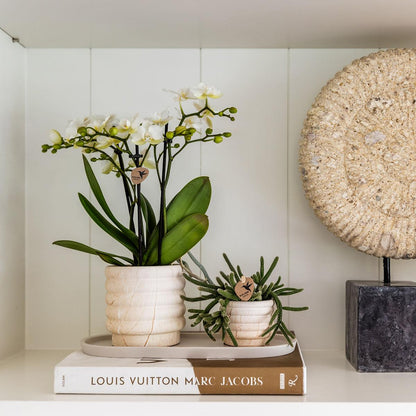 Kolibri Home | Marmor-Topf - Light - Ø9cm