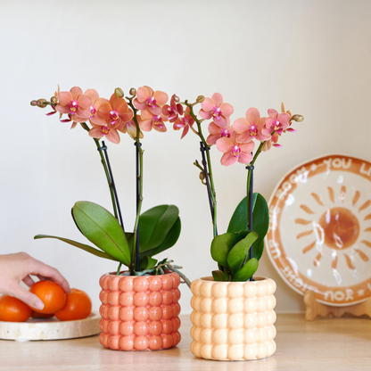 Set Giulia Poppy Orange