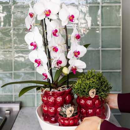Kolibri Home | Cotton Shine Übertopf - Red - Ø12cm