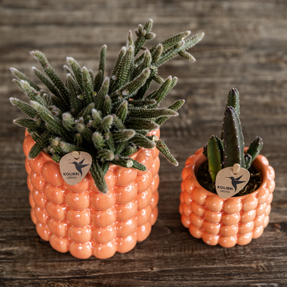 Set Poppy Orange Leonor