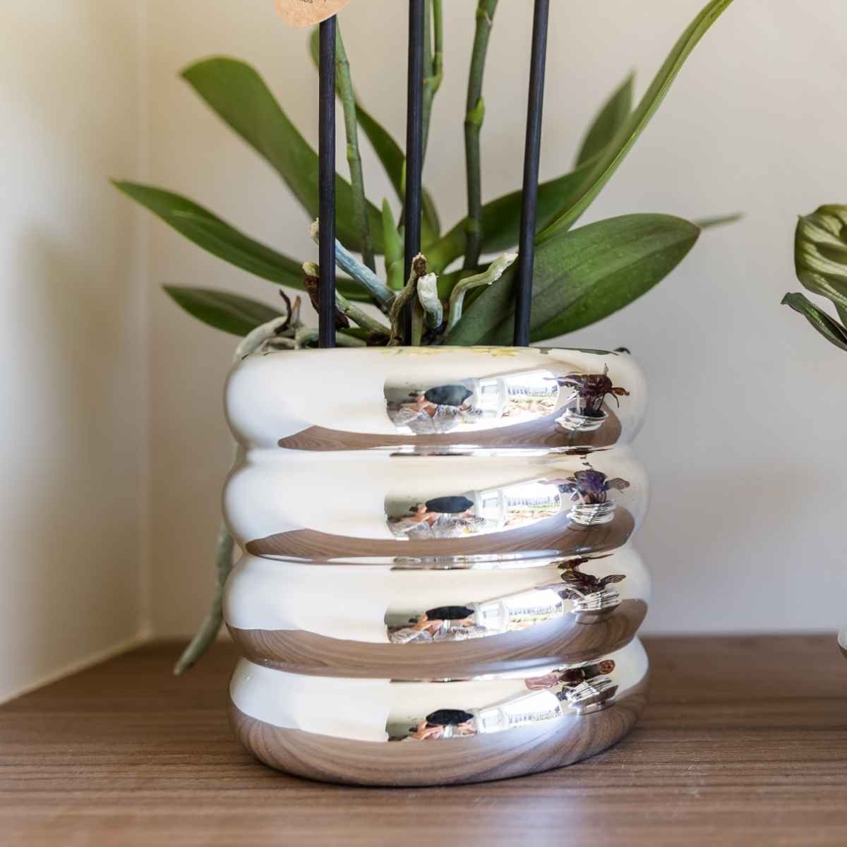 Kolibri Home | Glow Übertopf - Silber - Ø9cm