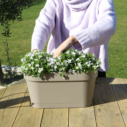Campanula Addenda Ambella Intensives Violett - Balkonpflanzer weiß mit 3 Campanula-Töpfen Größe 12cm - Inkl. Aufhängesystem - Glockenblume violett - Stauden - Gartenpflanzen