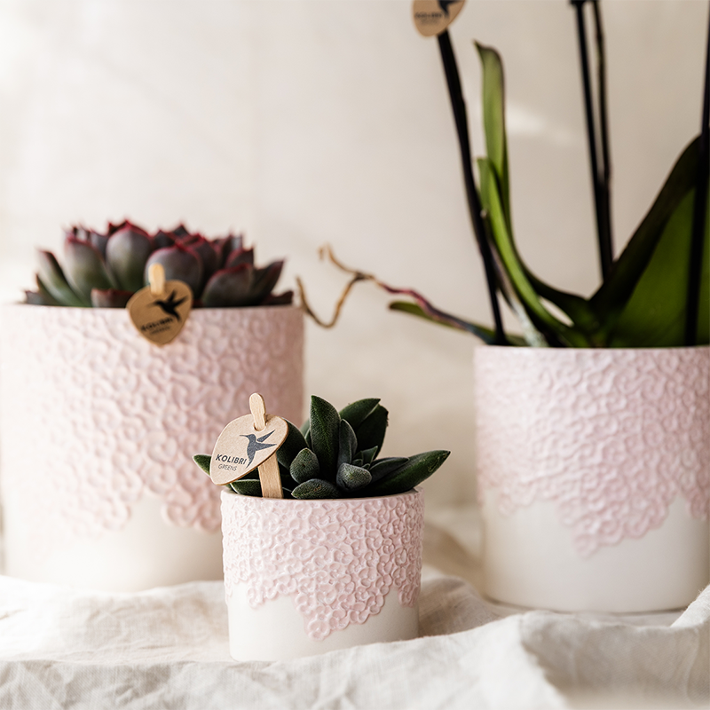 Kolibri Home | Bloom sierpot - Pink - Ø6cm
