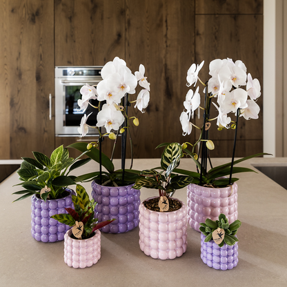 Kolibri Home | Poppy Ziertopf - Pink - Ø12cm