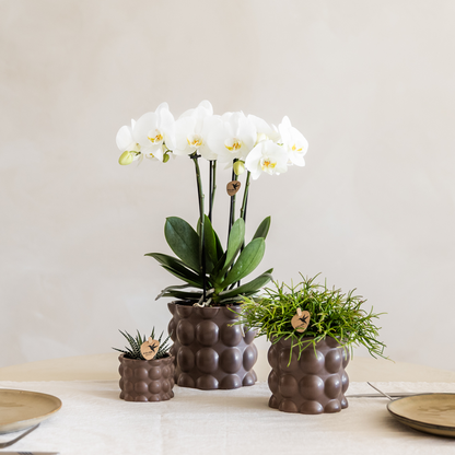 Kolibri Home | Cotton sierpot - Brown - Ø12cm